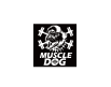 muscle dog